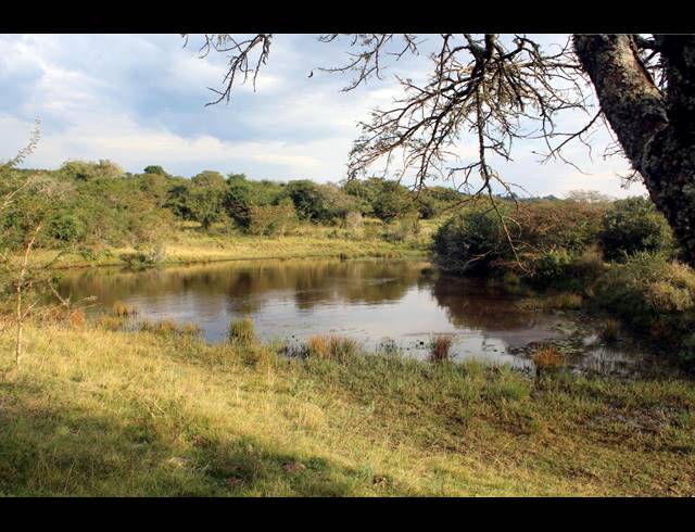 367HA FARM FOR SALE IN KOMGA